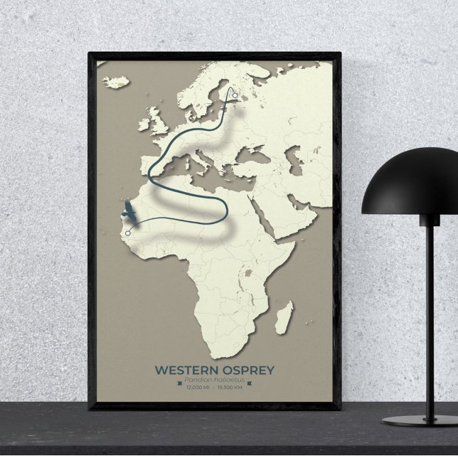 Western Osprey Migration Map - Minimalistisch Vint Poster (Western Osprey 24X36 in Mockup)