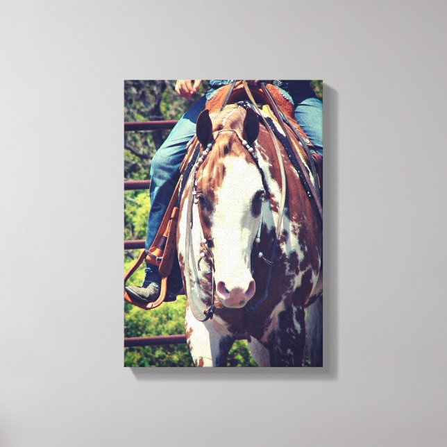 Western Paint Horse Leinwanddruck (Vorderseite)