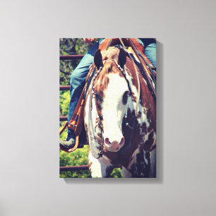 Western Paint Horse Leinwanddruck