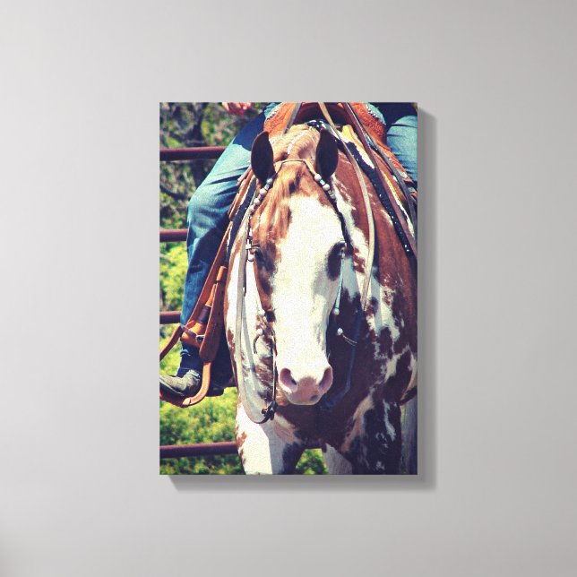 Western Paint Horse Leinwanddruck (Vorderseite)