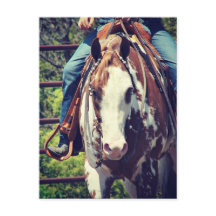 Western Paint Horse