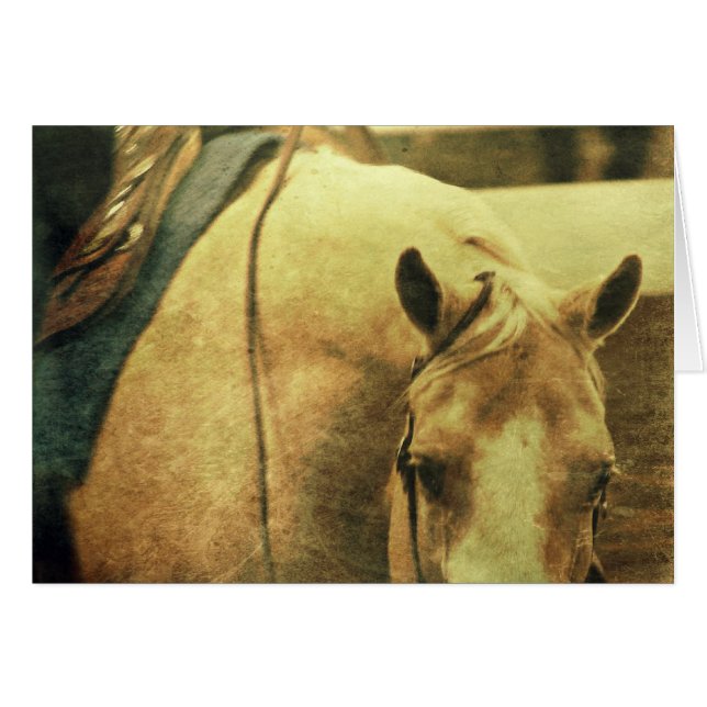 Western Palomino (Vorderseite (Horizontal))