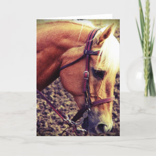 Western Palomino Karte