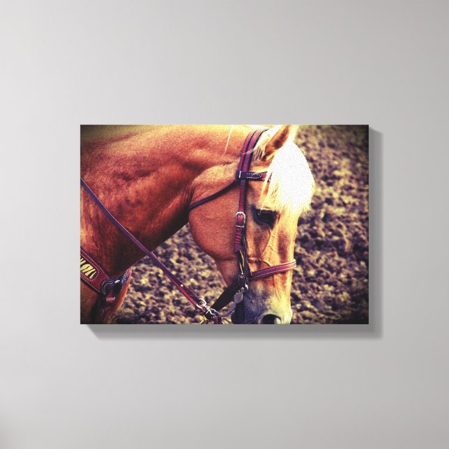 Western Palomino Leinwanddruck (Vorderseite)