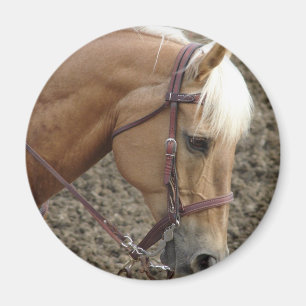 Western Palomino Magnet