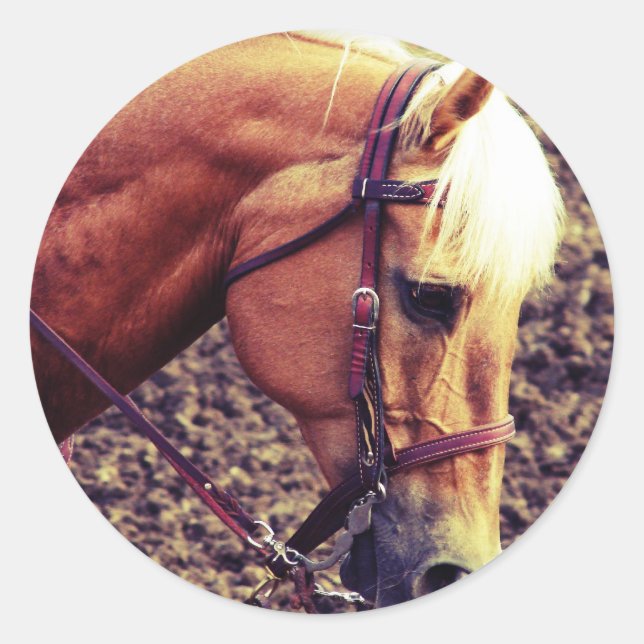 Western Palomino Runder Aufkleber (Vorderseite)