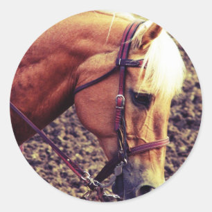 Western Palomino Runder Aufkleber