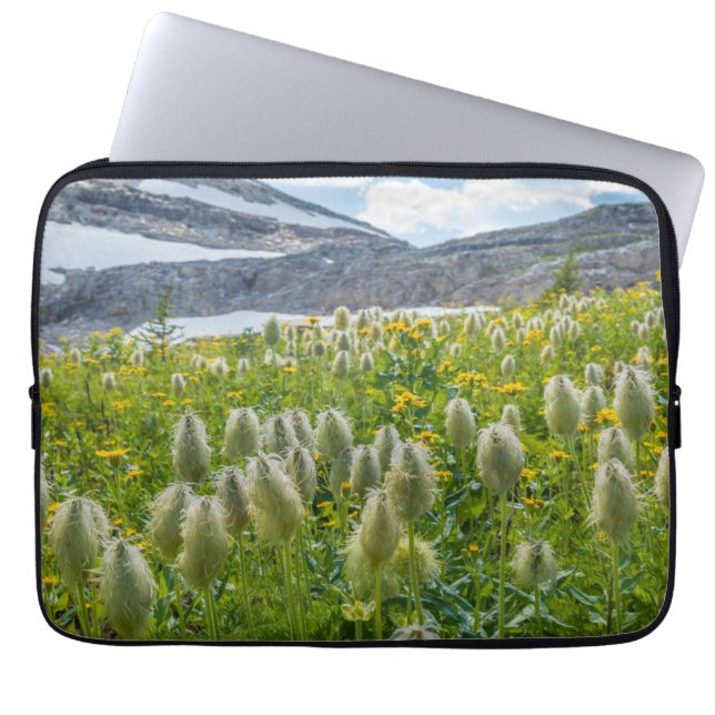 Western Pasqueflower | Ost-Kootenay-Berge Laptopschutzhülle (Vorderseite)