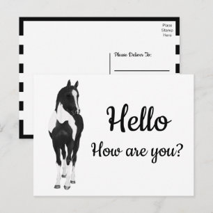 Western Pony Aquarell Schwarz Weiß Pferd Hallo Postkarte