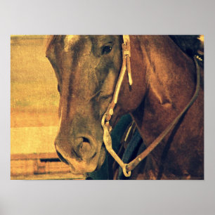 Western Poster