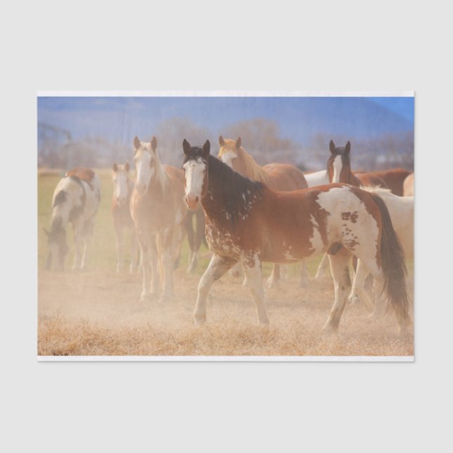 Western Ranch Pferde Seidenpapier (Vorderseite)