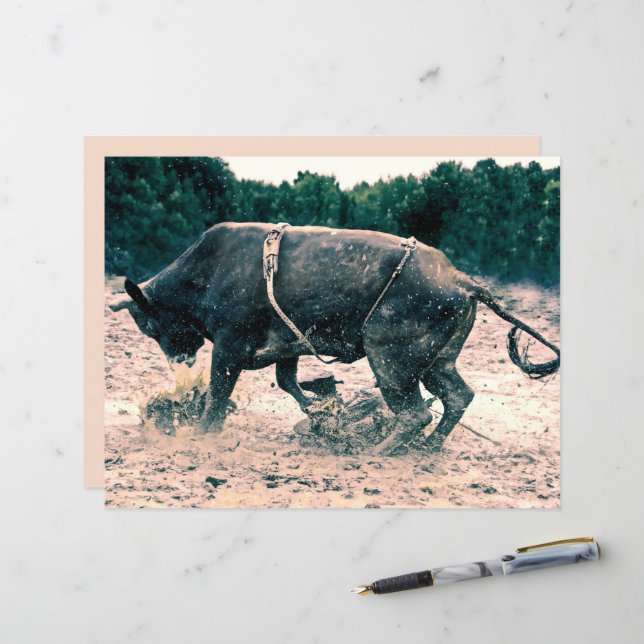 Western Rodeo Black Bull Country Cowboy Rustikal (Vorderseite/Rückseite Beispiel)