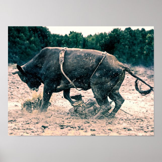 Western Rodeo Black Bull Country Cowboy Rustikal Poster (Vorne)