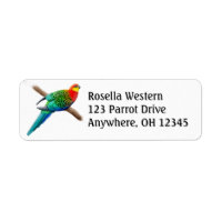 Western Rosella Parrot