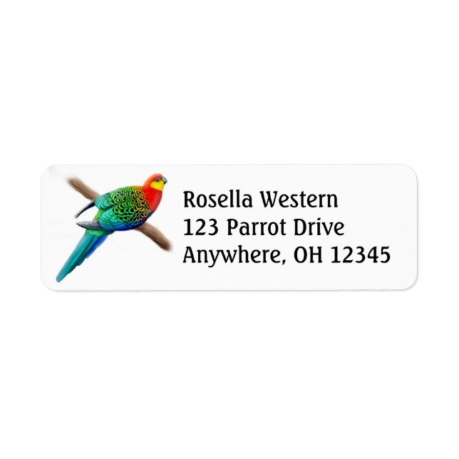 Western Rosella Parrot (Vorne)
