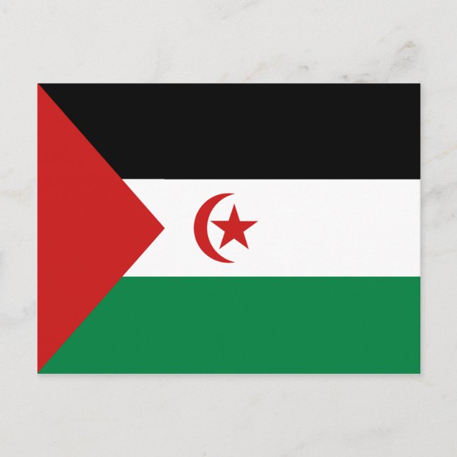 Western Sahara Flag Postkarte (Vorderseite)
