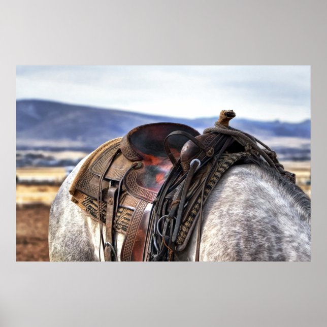Western-Sattel auf Graupferd Poster (Vorne)