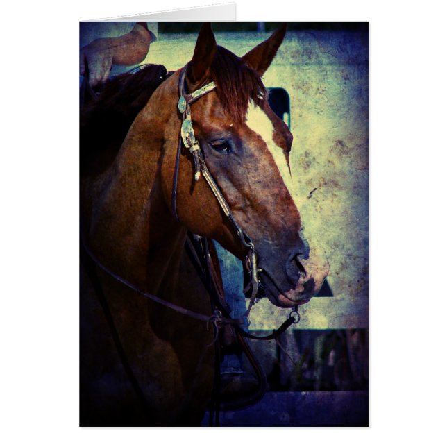 Western Sorrel Grunge (Vorne)