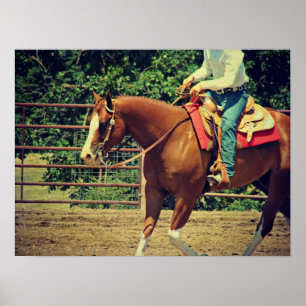 Western Sorrel Poster