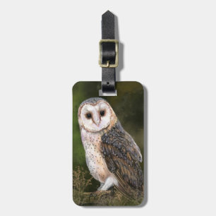 Western Stall Owl Gepäckmarke Gepäckanhänger