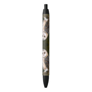 Western Stall Owl Pen - Malerei Kugelschreiber