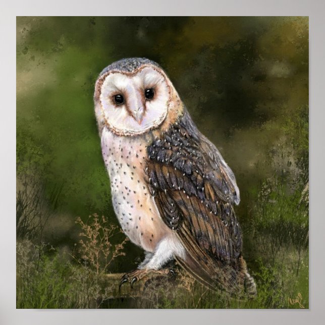Western-Stall-Owl-Postermalerei Poster (Vorne)