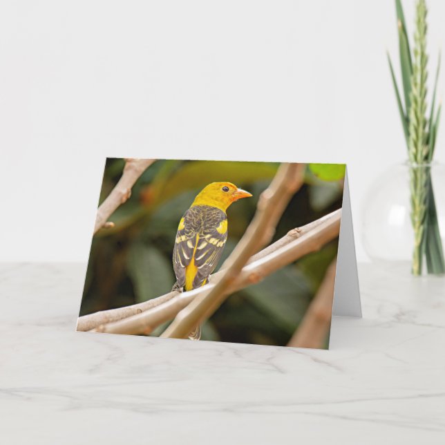 Western Tanager Bird Karte (Vorderseite)