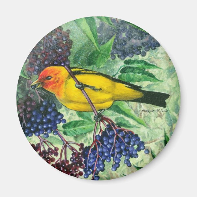 Western Tanager Magnet (Vorne)