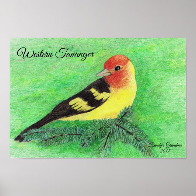 Western Tananger Bird Farbige Stifte Kunst Poster (Vorne)