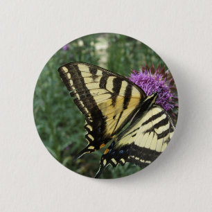Western-Tiger-Frack-Schmetterling Button
