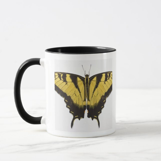 Western-Tiger-Frack-Schmetterling Tasse (Links)