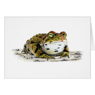 Western Toad Card