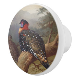 Western tragopan, Vogelbilder Keramikknauf