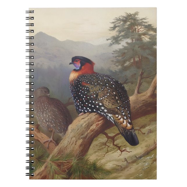 Western tragopan, Vogelbilder Notizblock (Vorderseite)