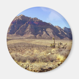 Western-Verwüstung Magnet