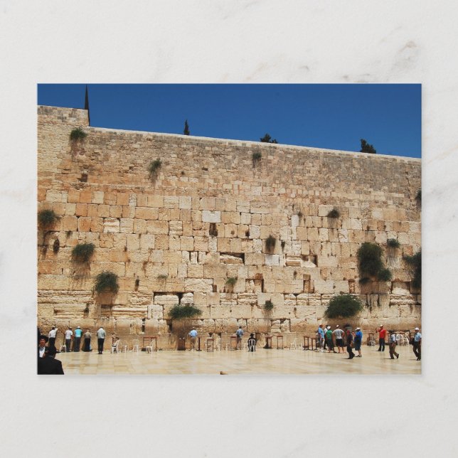 Western Wall, Jérusalem carte postale (Devant)