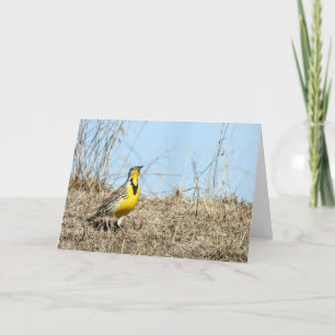 Western-Wiesenlark-Merkkarte Karte
