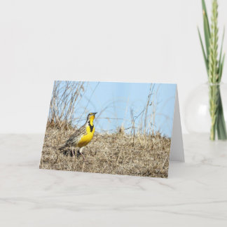 Western-Wiesenlark-Merkkarte Karte