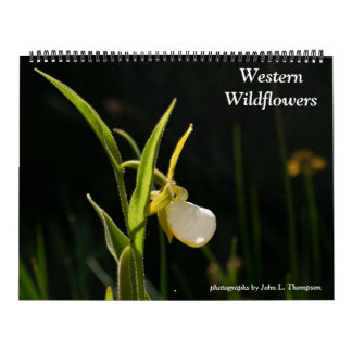 Western Wildflowers 2026 Calendar Kalender