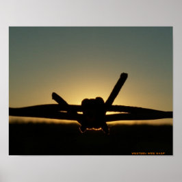 Western Wire Wasp Poster