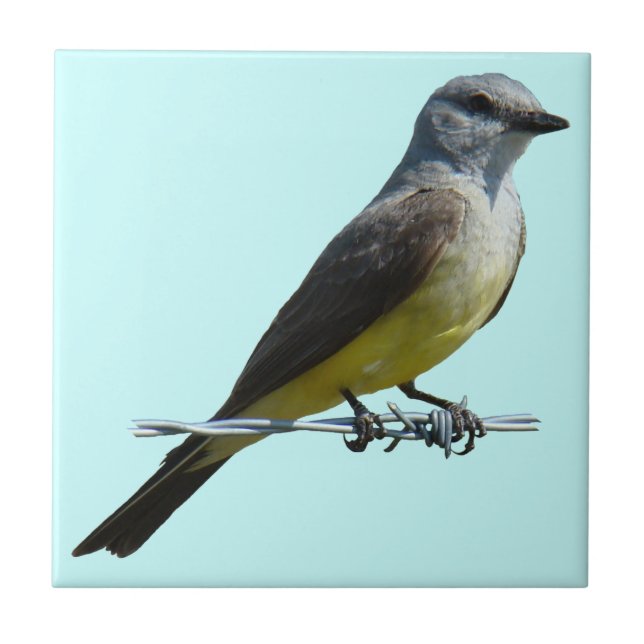 WesternB45 Kingbird Fliese (Vorderseite)