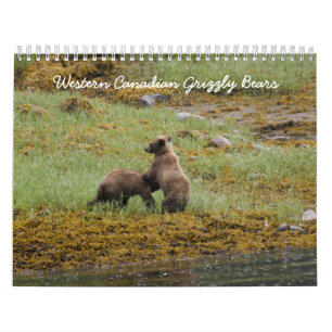 Westernkanadische Grizzly-Bären Kalender