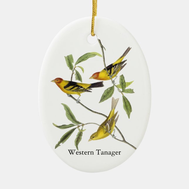 WesternTanager - John James Audubon Keramikornament (Vorne)