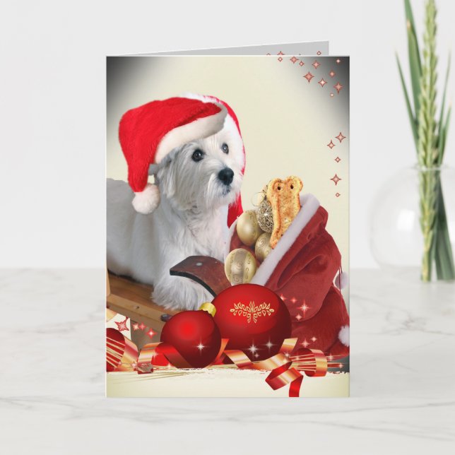 Westhochland-Terrier mit Sankt Leckereien Feiertagskarte (Vorderseite)