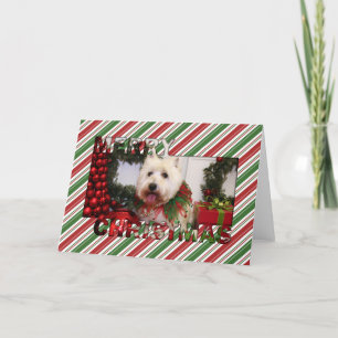 Westhochland-Terrier-WeihnachtsFotokarte Feiertagskarte