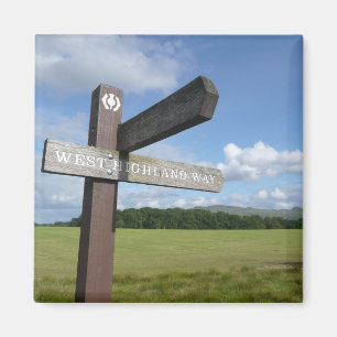 Westhochland-Weisen-Magnet Magnet