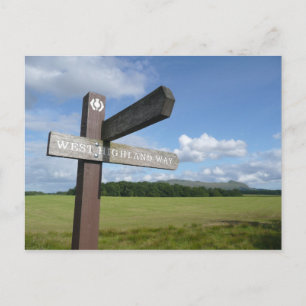 Westhochland-Weisen-Zeichen-Postkarte Postkarte