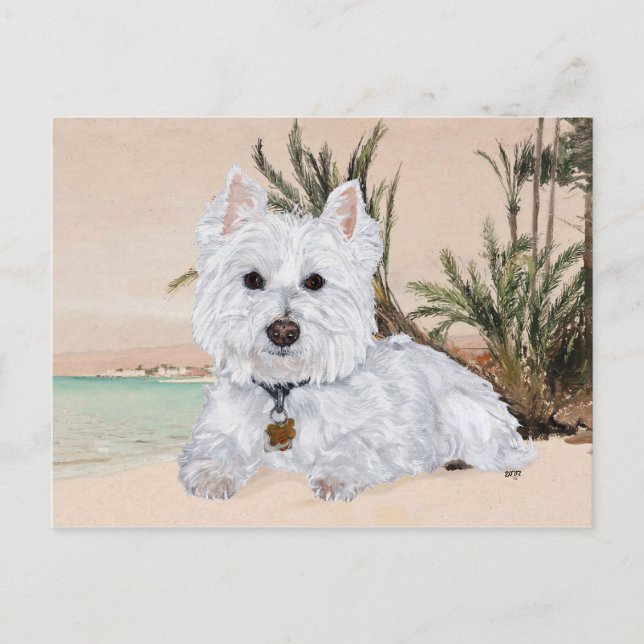 Westie am Strand Postkarte (Vorderseite)