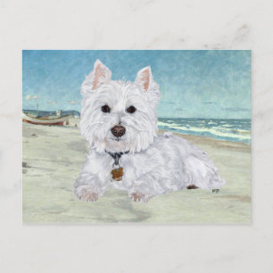 Westie am Strand Postkarte