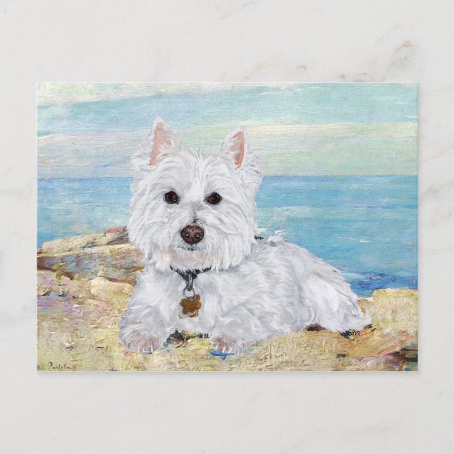Westie am Strand Postkarte (Vorderseite)